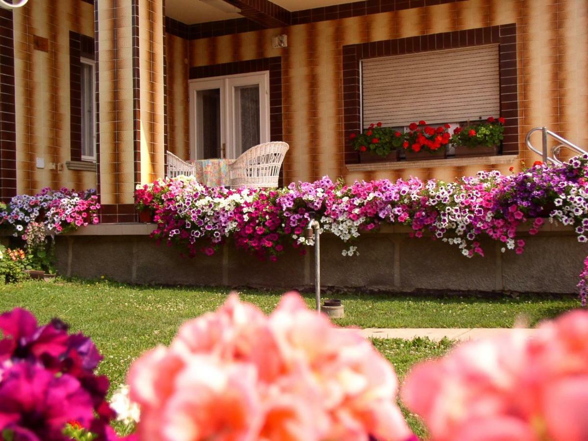 Amalia Apartman Gyula Extérieur photo